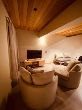 Departamento Andina San Martin De Los Andes